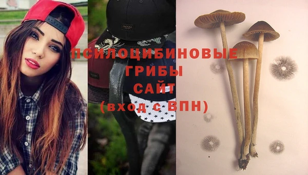 а пвп мука Дмитровск