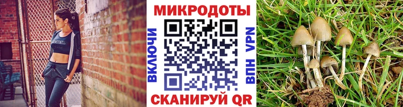 Псилоцибиновые грибы Cubensis  купить наркотик  Пересвет 